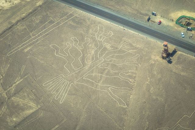 Kolibri az úton, Nazca-fennsik
