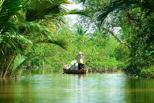 Mekong-delta