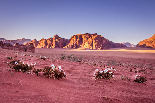 Wadi Rum, Jordánia