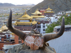 Tashilumpho - Sigace