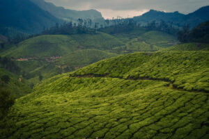 Munnar