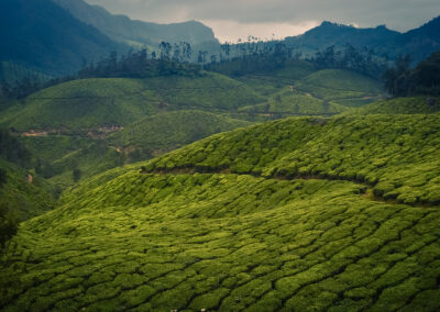 Munnar