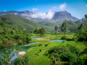 Munnar