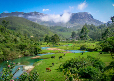 Munnar