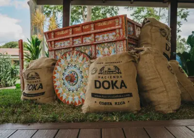 Hacienda Doka- Costa Rica
